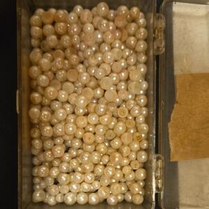 Elegant Cream Pearl Beads